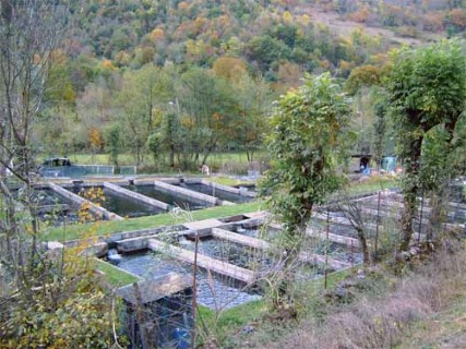 Cliquez pour agrandir l'image