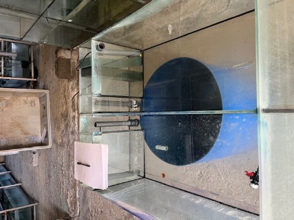 Cliquez pour agrandir l'image