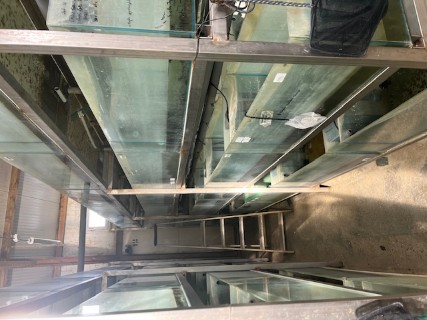 Cliquez pour agrandir l'image