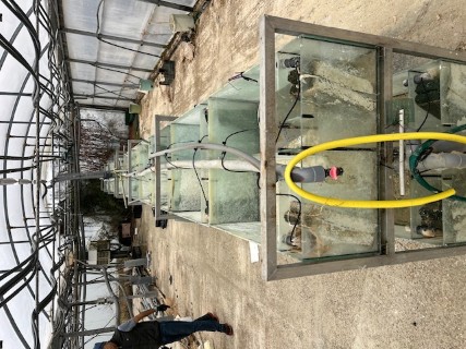 Cliquez pour agrandir l'image