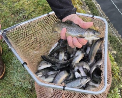 Cliquez pour agrandir l'image